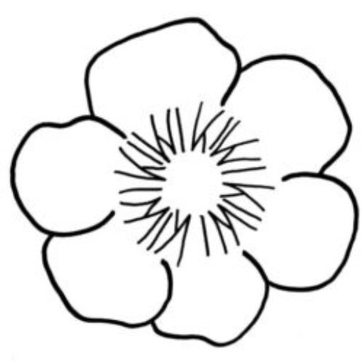 KIWI terapi + Forlaget KIWI